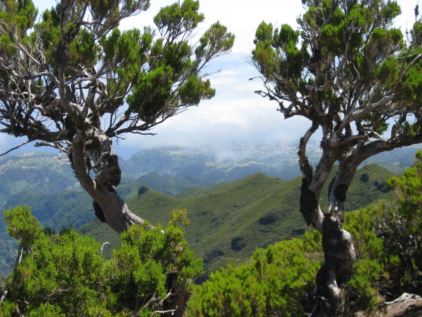 Madeira: Full-Day Pico Ruivo / Achada do Teixeira Walk - Achada do Teixeira finish: how the trail wraps up