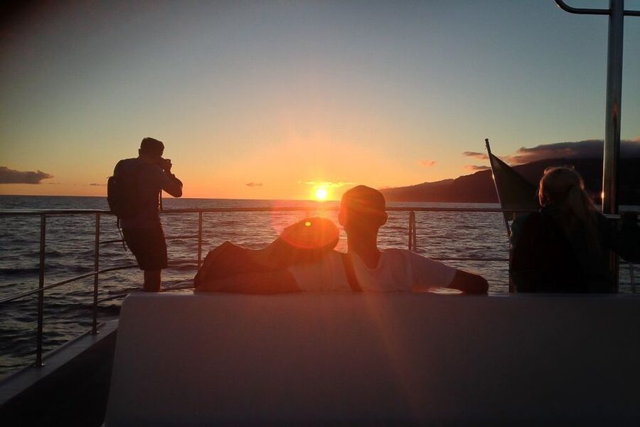Madeira: Funchal Sunset Tour by Catamaran - From Praça do Povo to Funchal Marina, you start right where the evening begins