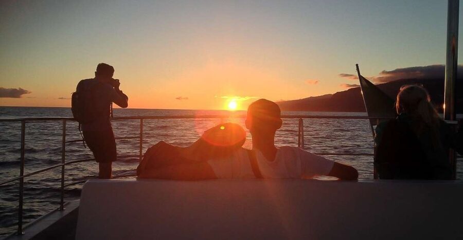 Madeira: Funchal Sunset Tour by Catamaran - Cruising the south coast of Madeira: why the catamaran setup feels better at sunset
