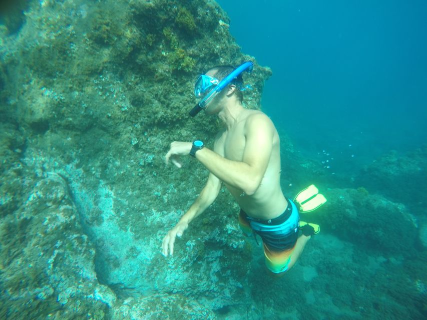 Madeira: Garajau Nature Reserve Kayak and Snorkel Tour - Key Things You Will Love About Garajau