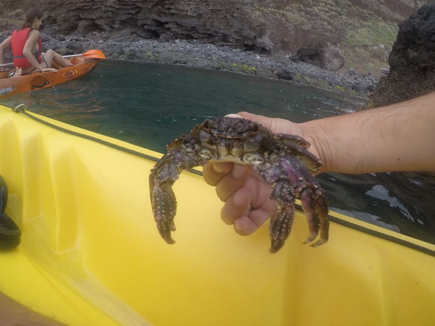 Madeira: Garajau Nature Reserve Kayak and Snorkel Tour - Snorkeling in Garajau: Fish, Clear Water, and the Jump Tower