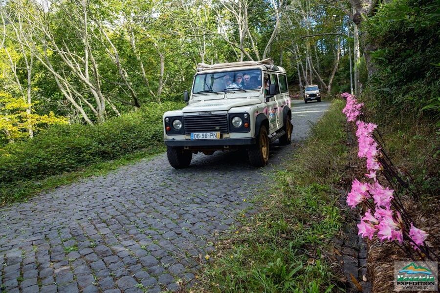 Madeira: Half-Day Nun's Valley and Sea Cliff Tour - Why this Nun’s Valley and Sea Cliff ride is such good value
