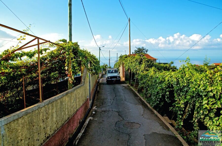 Madeira: Half-Day Nun's Valley and Sea Cliff Tour - Miradouro da Boca dos Namorados: where the photos start making sense