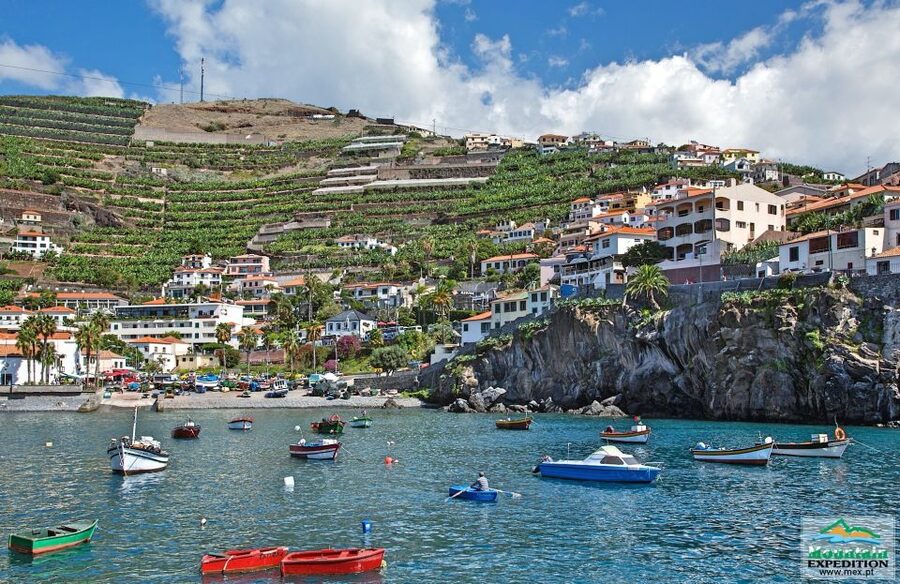 Madeira: Half-Day Nun's Valley and Sea Cliff Tour - A local bar stop: coffee and a taste of routine life