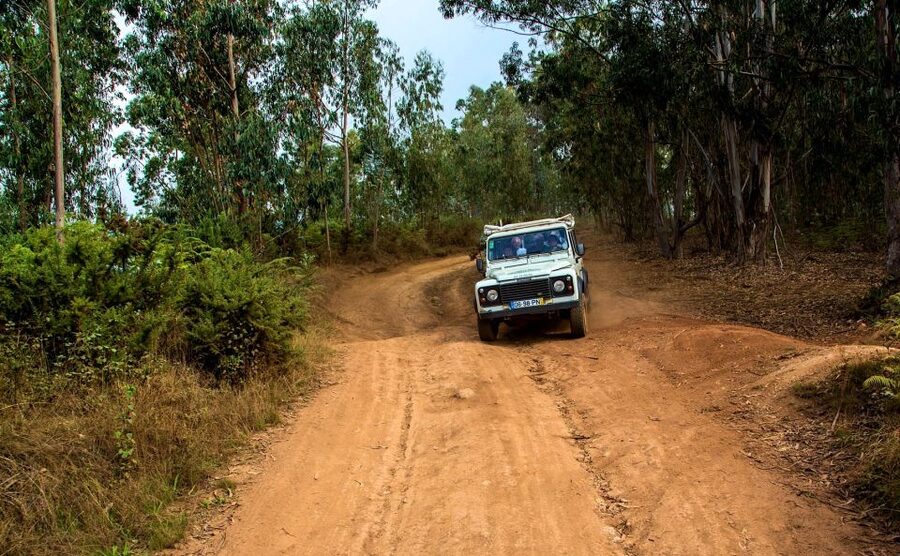 Madeira: Half-Day Nun's Valley and Sea Cliff Tour - Quinta Grande off-road: more rugged trail time, more valley perspective