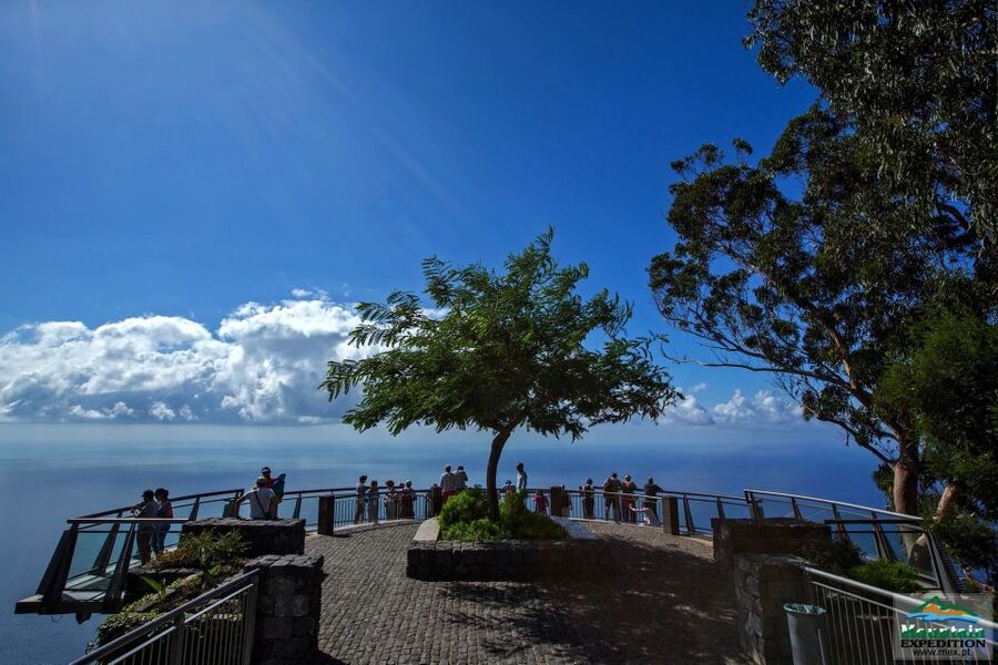 Madeira: Half-Day Nun's Valley and Sea Cliff Tour - Câmara de Lobos: end the tour where Madeira feels human
