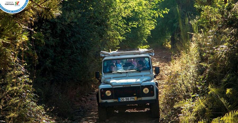 Madeira: Half-Day Nun's Valley and Sea Cliff Tour - The day starts in Funchal, then quickly rises into the viewpoints