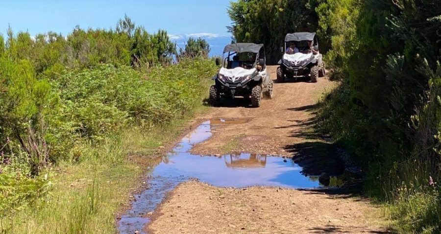 Madeira: Half-Day Off-Road Buggy Tour - Who should book this buggy tour in Madeira