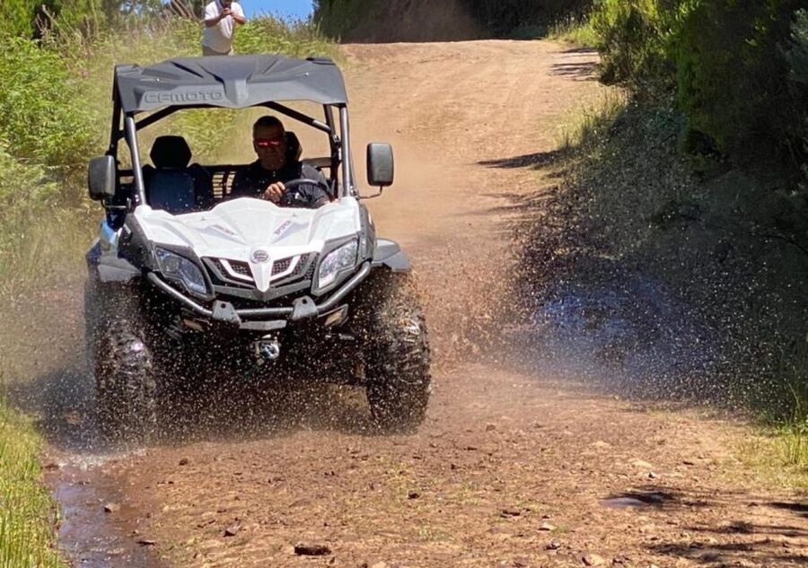 Madeira: Half-Day Off-Road Buggy Tour - Birds of prey and countryside stops: small breaks that add local flavor
