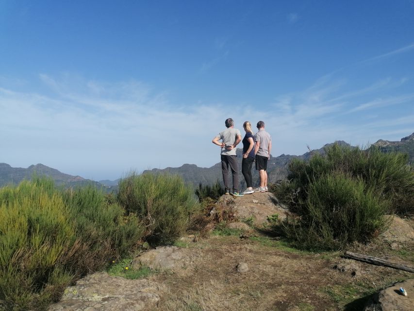 Madeira: Half-Day Off-Road Buggy Tour - Rain, wind, and the mud factor: how to pack smart