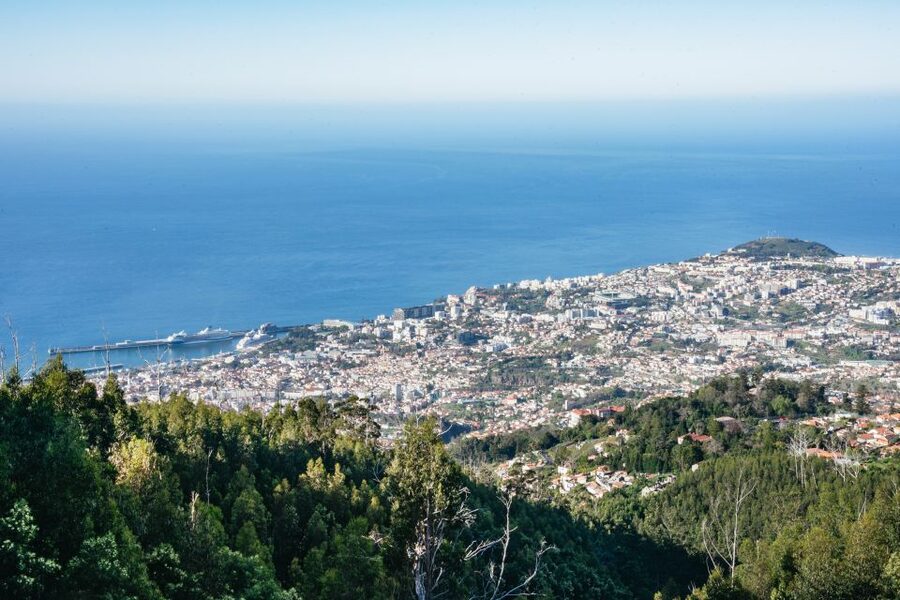 Madeira: Half-Day Pico Areeiro Jeep Tour - The big idea: a half-day that actually feels like four different Madeira moods
