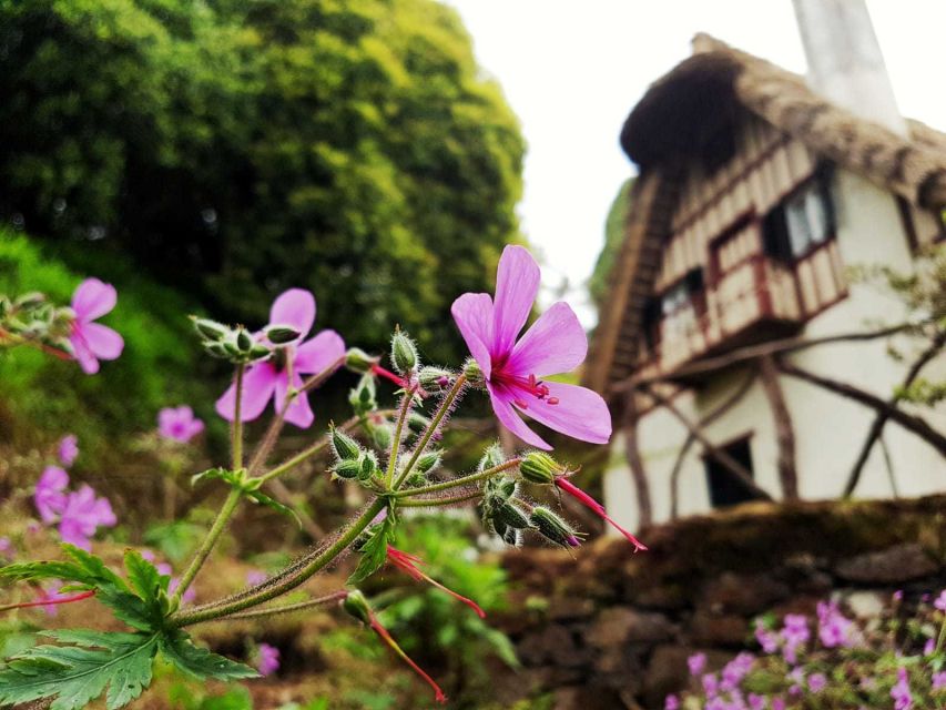 Madeira Island: Caldeirão Verde Levada Walk - Key things that make this walk worth your time