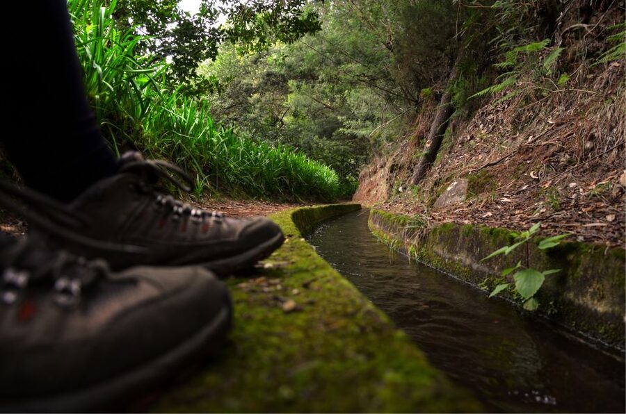 Madeira Island: Caldeirão Verde Levada Walk - The levada route, 13km of water-channel views and jungle-like greens