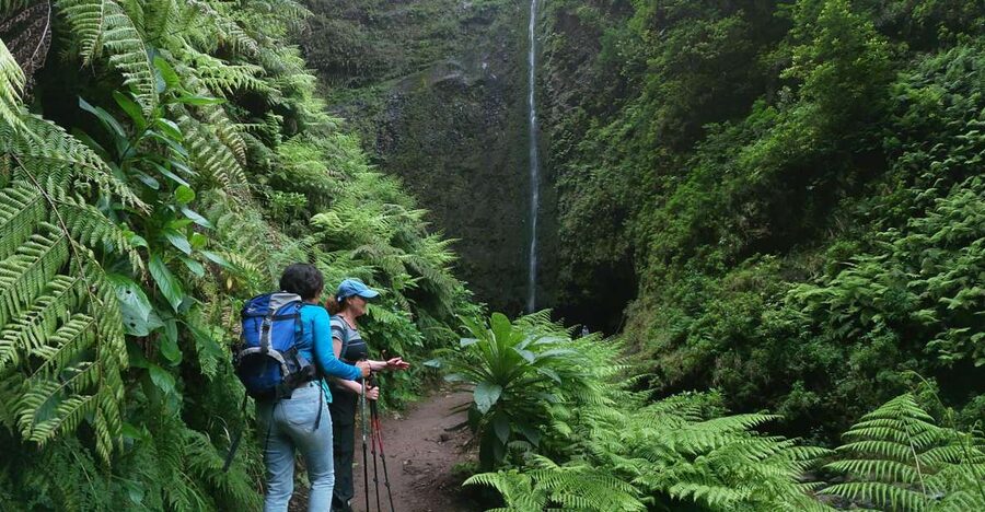 Madeira Island: Caldeirão Verde Levada Walk - The four natural tunnels, adventure spice with a real footing challenge