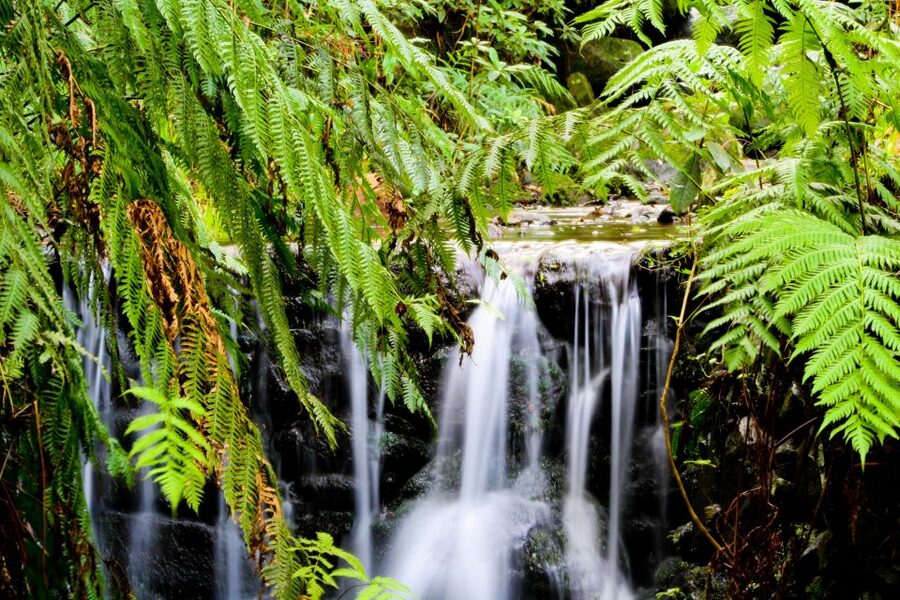 Madeira Island: Caldeirão Verde Levada Walk - Timing on the ground, how the tour fits a 7-hour day