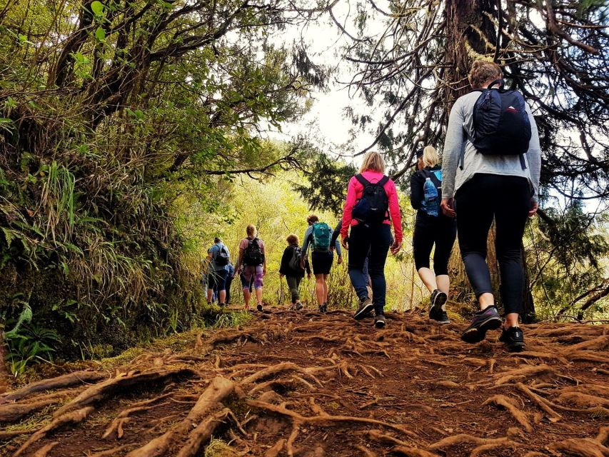 Madeira Island: Caldeirão Verde Levada Walk - Guides and safety, the part you feel when the trail turns slick
