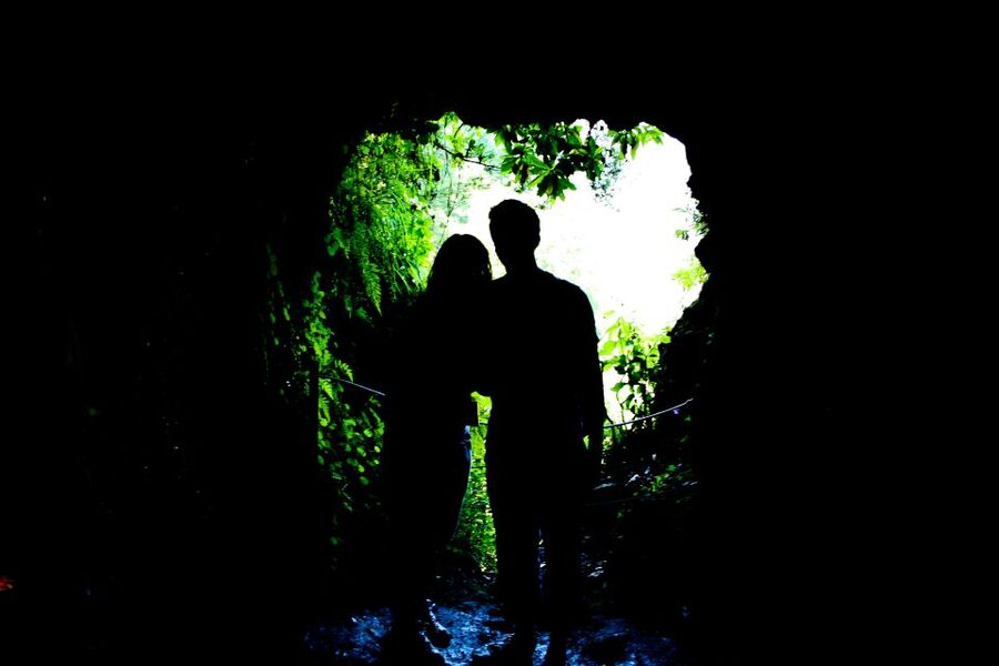 Madeira Island: Caldeirão Verde Levada Walk - Laurissilva Forest walking, where the plants feel close enough to study