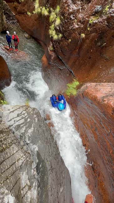 Madeira Island Canyoning Adventure - Should you book this $60 Level 2 canyoning in Madeira?