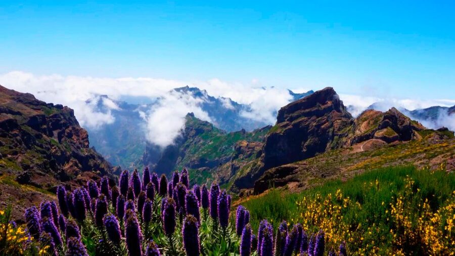 Madeira: Jeep tour Pico Areeiro, Santa Cruz and Cristo Rei - The guide, the pace, and the small-group advantage (up to 8)