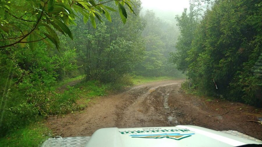 Madeira: Mini-Combo East Challenge: Jeep Safari + Levada - Why This East Madeira Combo Makes Sense