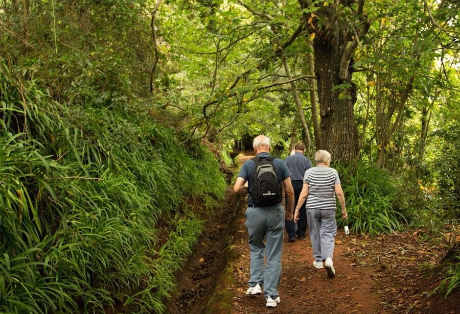 Madeira: Mini-Combo East Challenge: Jeep Safari + Levada - The Easy 30-Minute Levada Walk That Still Feels Worth It