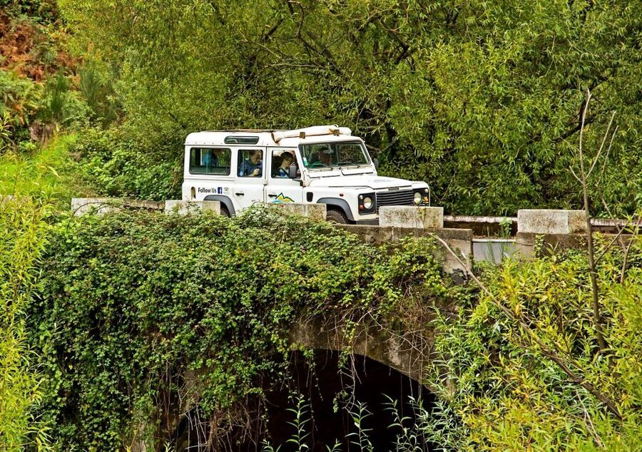 Madeira: Mini-Combo East Challenge: Jeep Safari + Levada - Price and Value: Is $55 Fair for This Half-Day?