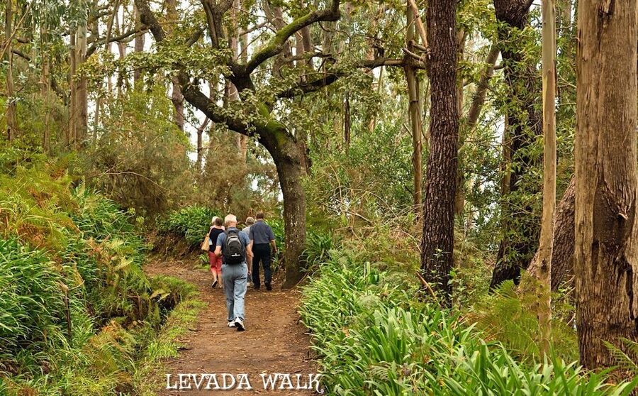 Madeira: Mini-Combo East Challenge: Jeep Safari + Levada - What to Bring (and What Clothing Actually Works)
