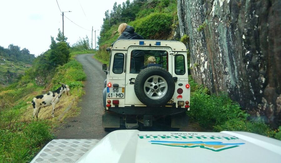 Madeira: Mini-Combo East Challenge: Jeep Safari + Levada - Getting Around the Southeast Coast by 4x4 Jeep