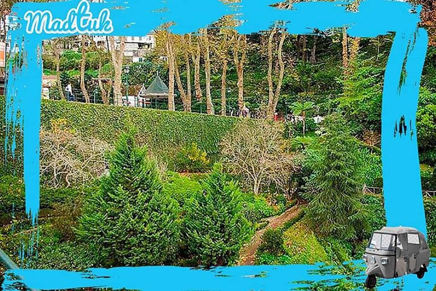 Madeira: Monte Toboggan & Old Town Guided Tuk Tour by MadTuk - Key things to know before you go