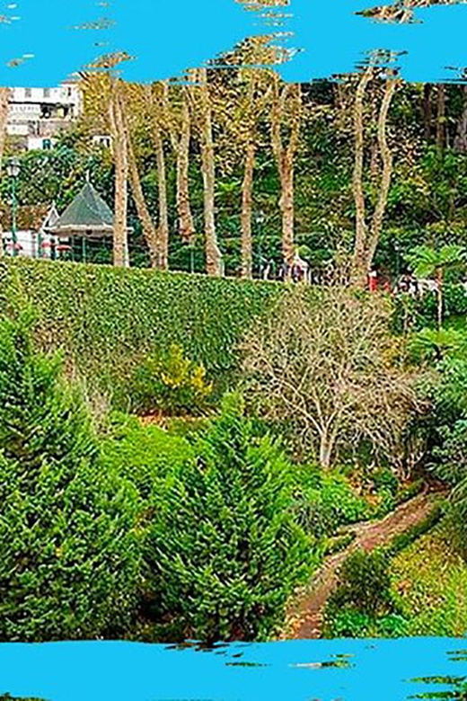 Madeira: Monte Toboggan & Old Town Guided Tuk Tour by MadTuk - Price and value: where the €44 fits, and what’s extra