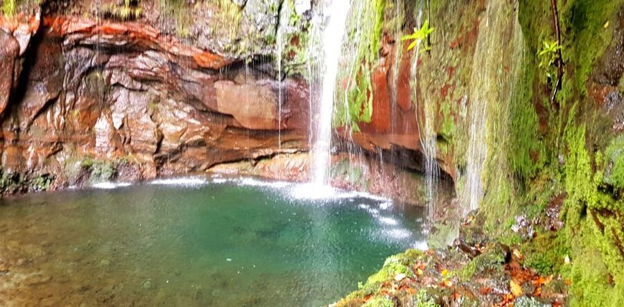 Madeira: Mountain Walk with Lagoon and Waterfalls - Key things you will notice on this Madeira hike
