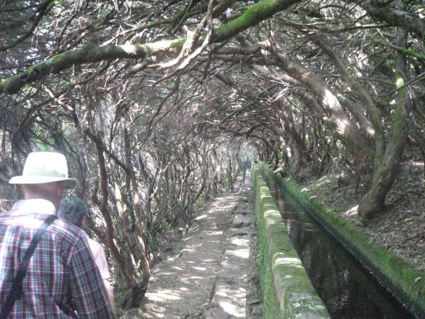 Madeira: Mountain Walk with Lagoon and Waterfalls - Risco waterfall and mountain views: the middle section that keeps the day varied