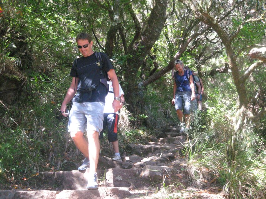 Madeira: Mountain Walk with Lagoon and Waterfalls - Price and value: is $55 for an 8-hour guided day a good deal