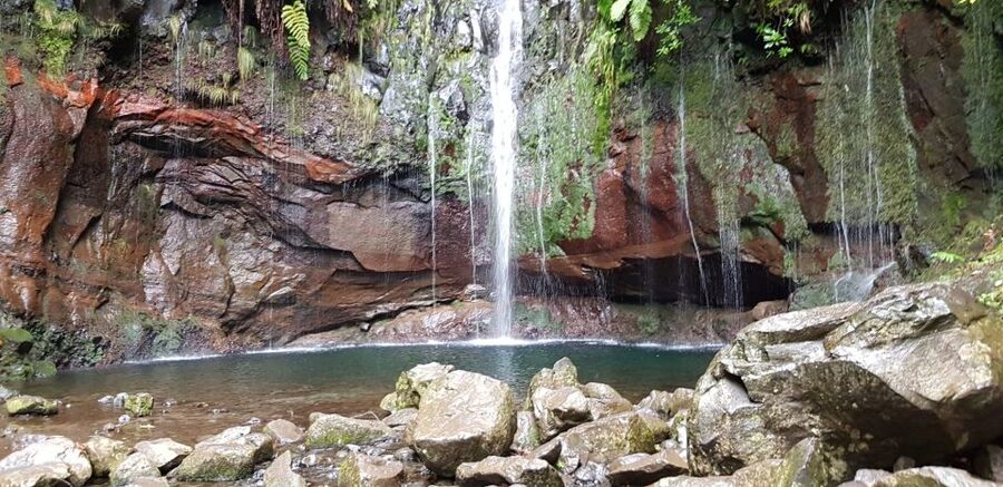 Madeira: Mountain Walk with Lagoon and Waterfalls - Getting Into the Mountains: pickup, drive, and the morning timing you should expect