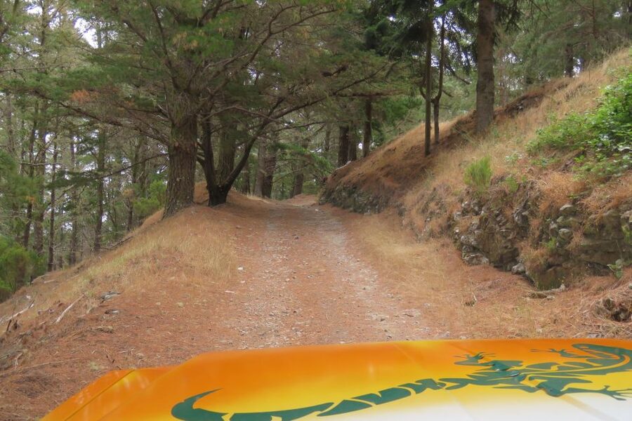Madeira : Nun's Valleys and Pico Areeiro 4X4 Tour - Who Should Choose This 4x4 Day (and Who Should Skip It)