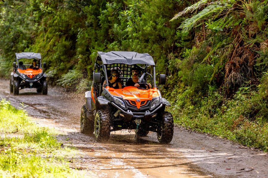 Madeira: Off-Road Buggy Adventure Through Laurissilva Forest - Price and Value: What $147 Covers