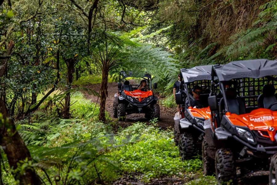 Madeira: Off-Road Buggy Adventure Through Laurissilva Forest - Casa das Funduras: A Quick Stop With Real Madeira Context