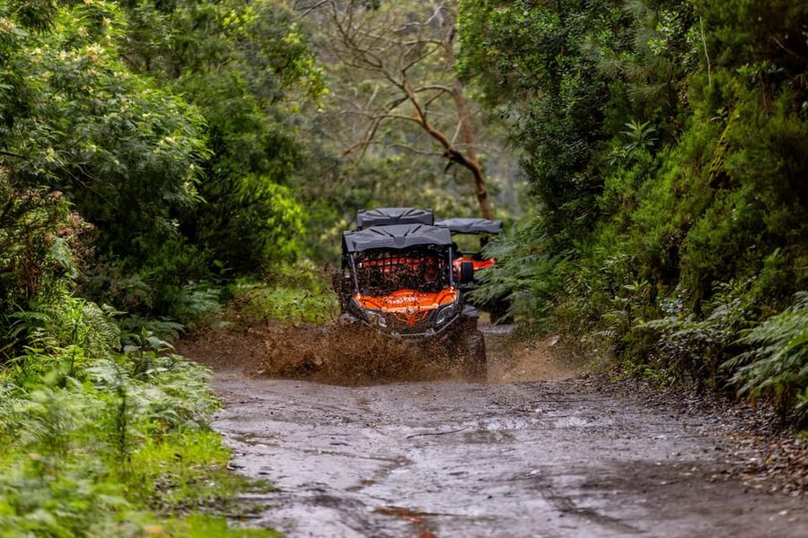 Madeira: Off-Road Buggy Adventure Through Laurissilva Forest - The Mud, Dust, and Wet Gear Reality Check