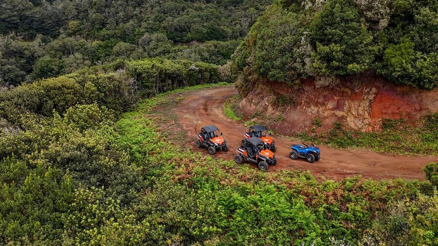 Madeira: Off-Road Buggy Adventure Through Laurissilva Forest - The Driver-Only Heart of This Experience