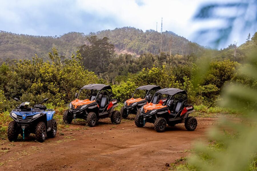 Madeira: Off-Road Buggy Adventure Through Laurissilva Forest - Group Size, Timing, and What 2.5 Hours Really Means