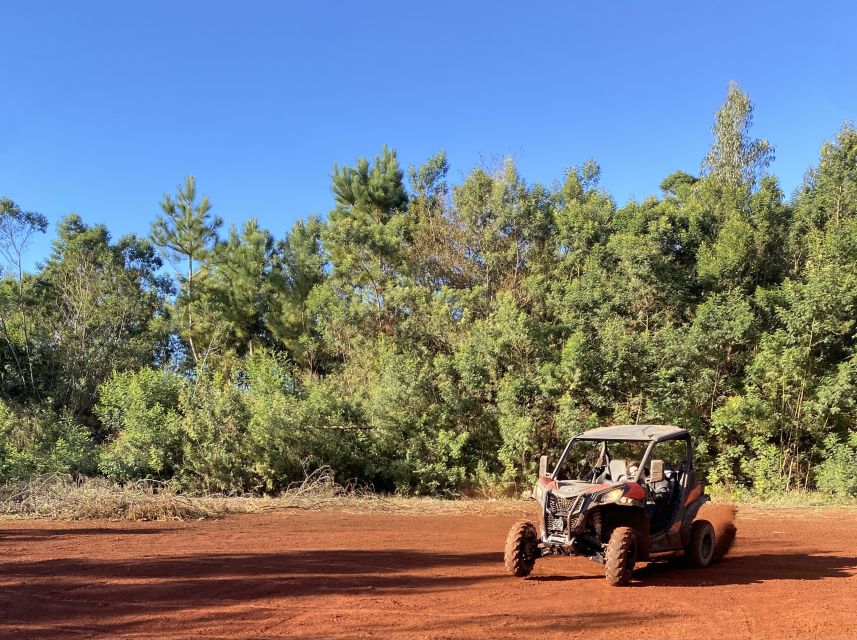 Madeira: Off-Road Buggy Driving Experience - Who should book this buggy tour, and who might skip it