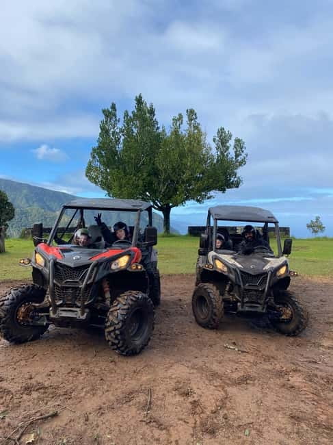 Madeira: Off-Road Buggy Driving Experience - Why the Laurisilva forest feels different on wheels