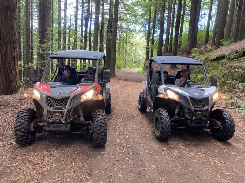 Madeira: Off-Road Buggy Driving Experience - Driving the double buggy: easy to handle, still thrilling
