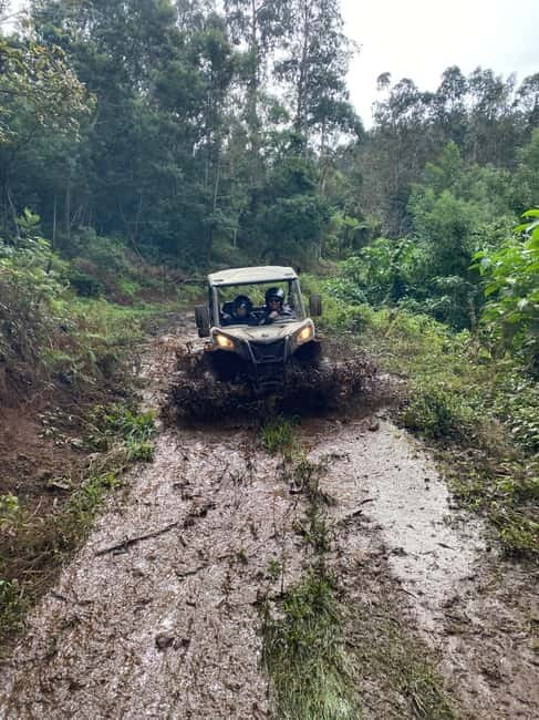 Madeira: Off-Road Buggy Driving Experience - Where you stop: photos in the forest and mountain viewpoints
