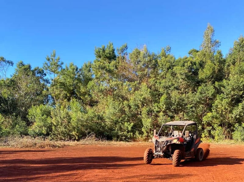 Madeira: Off-Road Buggy Driving Experience - Guides, pacing, and small-group advantages