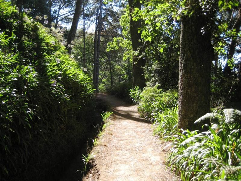 Madeira: Paradise Valley Levada Walk - Vale do Paraíso to Rochão: How the Trail Unfolds