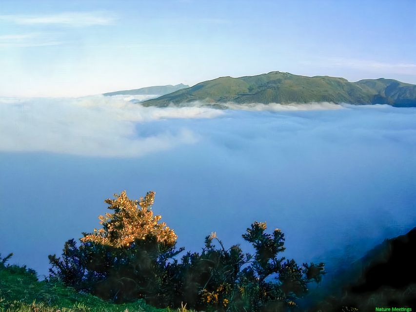 Madeira: Pico Arieiro to Pico Ruivo Hike - Pico Arieiro to Pico Ruivo: why this Madeira hike feels different