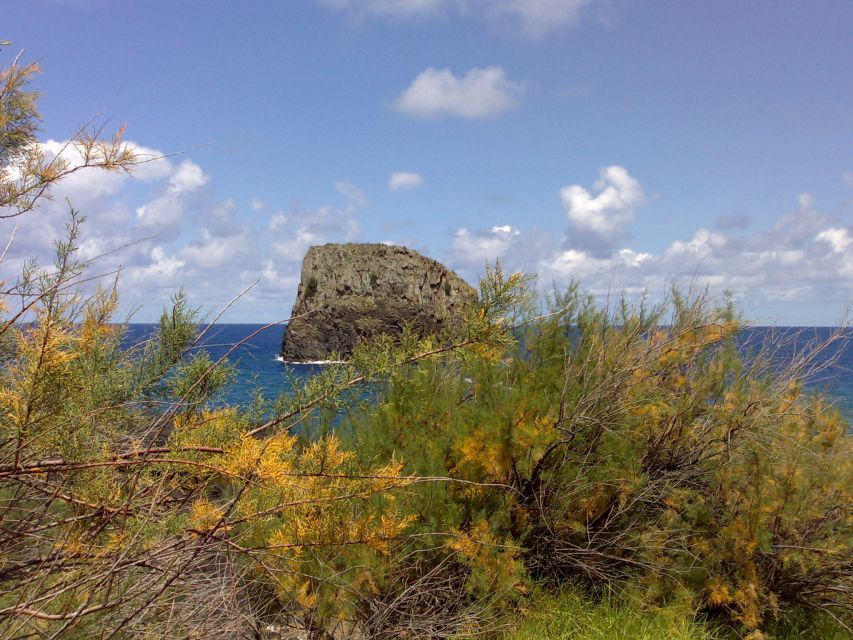 Madeira: Pico do Arieiro & Laurissilva Forest - East tour - Key things that make this tour worth your time
