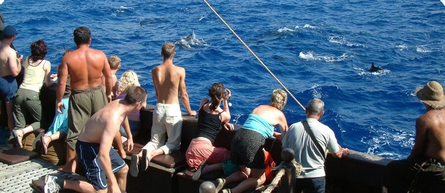 Madeira Pirate Ship: 3-Hour Boat Trip - Meeting the Santa Maria de Colombo at Marina Funchal