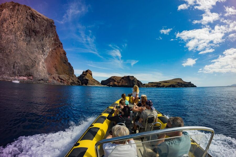 Madeira: Ponta de São Lourenço Lighthouse Boat Tour - Pico Frade and the rare plant story you can actually spot